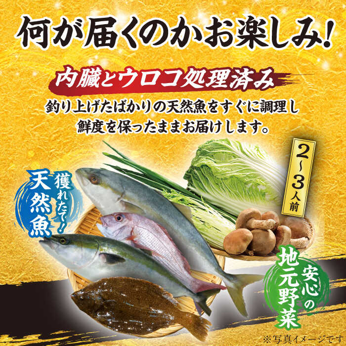 【ふるさと納税】【一本釣り天然魚】平戸産天然魚しゃぶしゃぶセット～安心の地元野菜付～ 平戸市 / ひらど新鮮市場 [KAB012] 魚 天然 鍋 野菜付き 海鮮鍋 天然ブリ 天然タイ