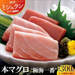 【ふるさと納税】【全3回定期便】本マグロ 極海一番 計900g （約300g×3回） 平戸市 / 囲炉裏料理 エビス亭 [KAC135]