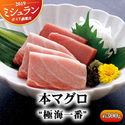 【ふるさと納税】本マグロ 極海一番 約300g 平戸市 / 囲炉裏料理 エビス亭】 [KAC019]