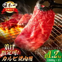 【ふるさと納税】【内閣総理大臣賞受賞！】長崎和牛 カルビ焼肉