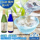 【ふるさと納税】【創業330有余年の匠の技】長崎美人 大吟醸＆CASUTORI nagasaki beauty セット 【福田酒造】 [KAD170]