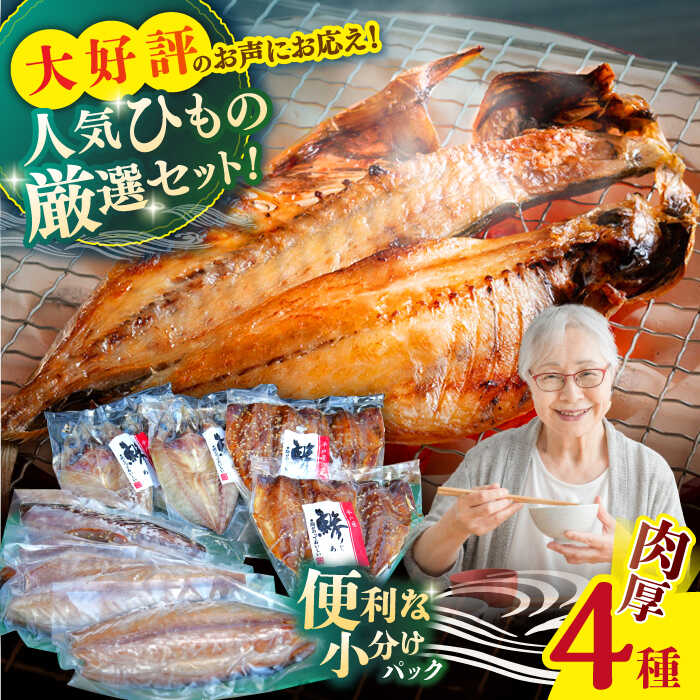 【ふるさと納税】平戸自慢のひもの　あじ・さばセット 【篠崎海産物店】[KAD185]