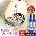 【ふるさと納税】【全6回定期便】 Firando～フィランド～ 1L（500ml×2本） 【 森酒造場 】[KAD244]