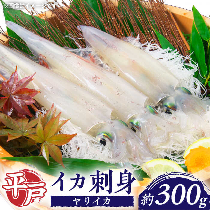 [ 鮮度抜群 ] 甘くてコリコリ!平戸の ヤリイカ 刺身 約300g[百旬館] [KAK023] 今が旬