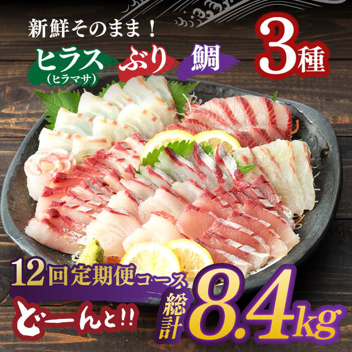 【ふるさと納税】【全12回定期便】平戸市 鮮魚 ブロック 3種 計約9.6kg （約800g/回）百旬館 [KAK031]