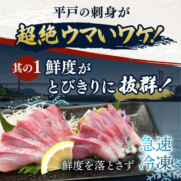 【ふるさと納税】【全12回定期便】平戸市 鮮魚 ブロック 3種 計約9.6kg （約800g/回）百旬館 [KAK031]