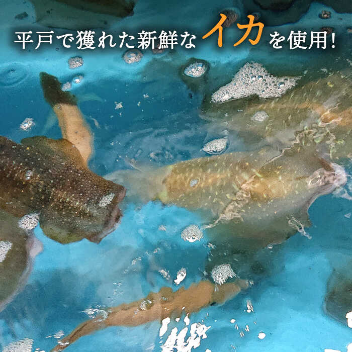 【ふるさと納税】【鮮度抜群】甘くて身がコリコリ！平戸 イカ 刺身 約300g 【百旬館】[KAK053] いか さしみ 海鮮 鮮魚 魚介 九州 長崎