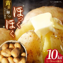 【ふるさと納税】【先行予約】ながさき黄金 10kg 【JAながさき西海 平戸営農経済センター】[KAL001]