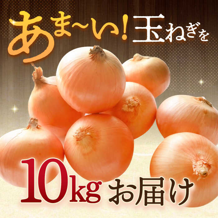 【ふるさと納税】【先行予約】 平戸吊り玉ねぎ 10kg【JAながさき西海 平戸営農経済センター】[KAL003]