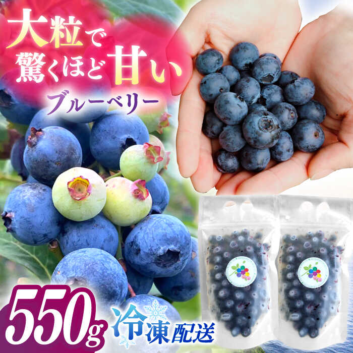 [厳選]高品質へのこだわり 冷凍ブルーベリー 550g[いきつきブルーベリー園 moon berry's kitchen]