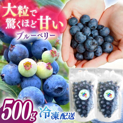 【厳選】高品質へのこだわり 冷凍ブルーベリー 550g【いきつきブルーベリー園 moon berry’s kitchen】[KAM001]