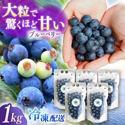 【ふるさと納税】【新鮮】摘みたて！冷凍ブルーベリー 1.0kg【いきつきブルーベリー園 moon berry’s kitchen】[KAM002]