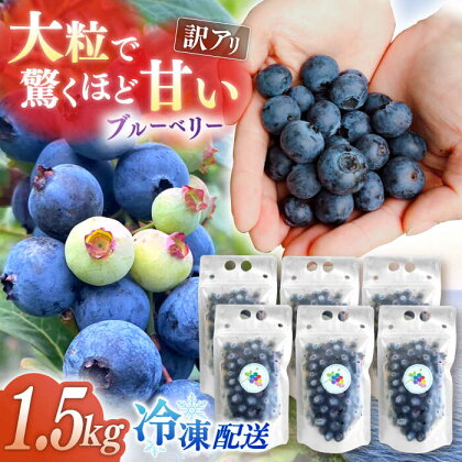 【訳あり】加工に最適！冷凍ブルーベリー 1.5kg【いきつきブルーベリー園 moon berry’s kitchen】[KAM003]