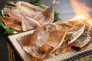 【ふるさと納税】松浦の干し物盛り沢山