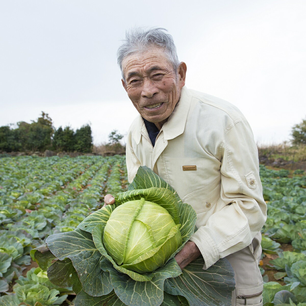 【ふるさと納税】道の駅松浦海のふるさと館『旬のお野菜＋産みたて濃厚玉子6個＋お米5kg』の大満足セット！【B2-099】 産地直送 新鮮 白米 米 卵 たまご タマゴ 野菜 旬 詰め合わせ農家 季節 サラダ 新鮮 セット 送料無料 松浦 お米 九州 おまかせ 特産品 大容量 道の駅