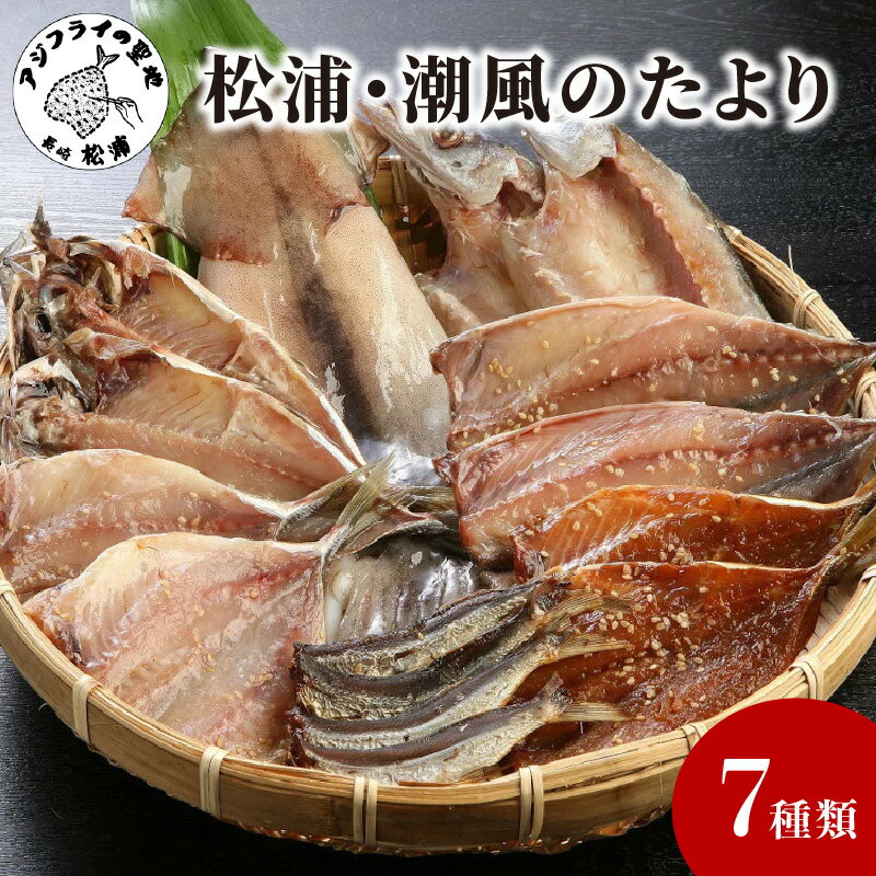 【ふるさと納税】松浦・潮風のたより【B0-150】 魚 干物 干し物 セット 干物セット アジ 6枚 サバ 2切 カマス 2枚 イカ 1枚 あご 50g やわらかい 一夜干し 美味しい 冷凍 海鮮 松浦 おつまみ 肴 海 詰め合わせ ギフト 冷凍 大容量 晩ごはん