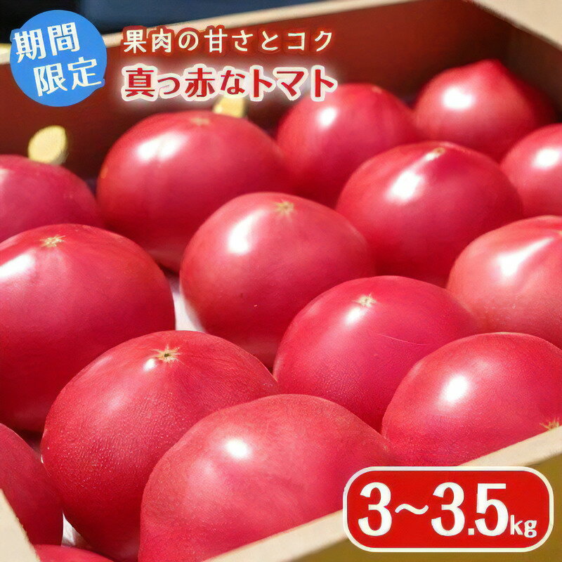 【ふるさと納税】期間限定 真っ赤なトマト3kg〜3.5kg【A9-015】 トマト リコピン サラダ ジュース 3キロ夏野菜 トマト 大容量 野菜 松浦 高糖度 甘い