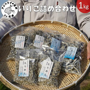 【ふるさと納税】逸品 いりこ詰め合わせ 1Kg【A9-007】 鰯 イワシ いわし いりこ だし汁 出汁 煮干し にぼし 詰め合わせ 1キロ海産物 小魚 ちりめん 無添加 酸化防止剤不使用 佃煮 酢の物 美味しい 三種