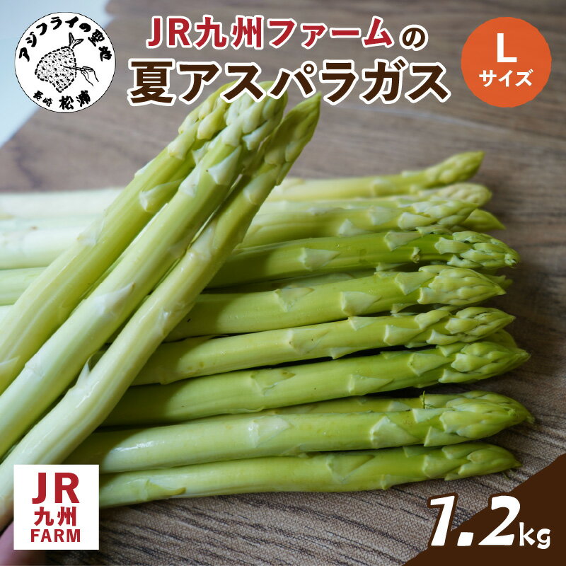 【ふるさと納税】JR九州ファームの夏アスパラガス　Lサイズ1.2kg【A9-029】アスパラガス アスパラ 夏アスパラ 野菜 甘み 柔らかい 松浦市