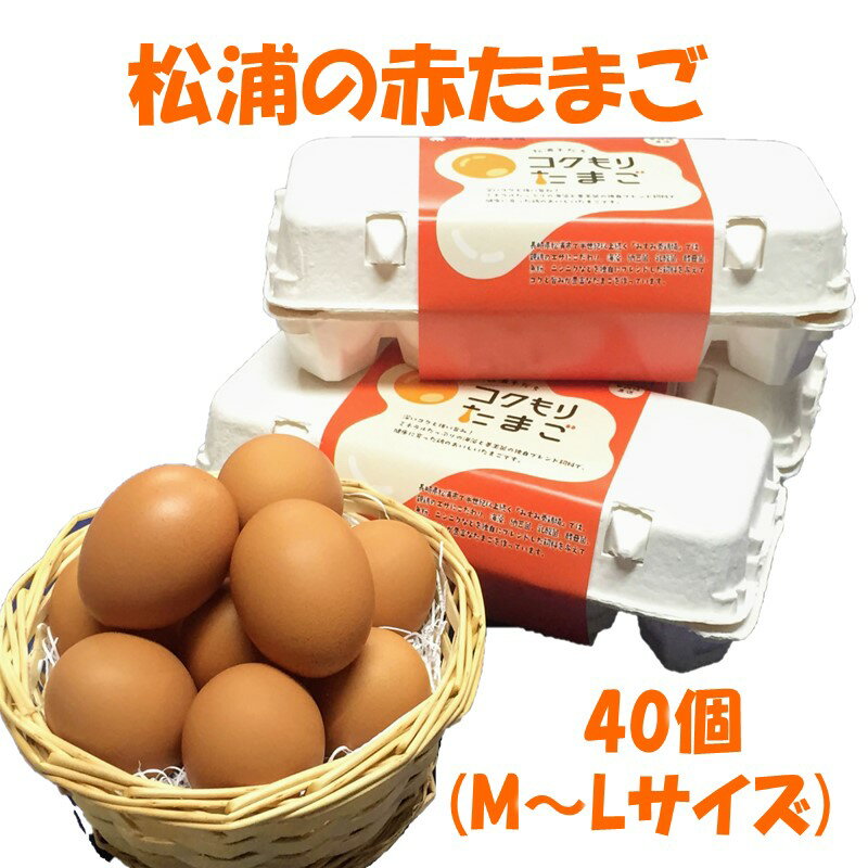 14位! 口コミ数「16件」評価「4.5」養鶏場直送!松浦の赤たまご(40個)【B1-125】 卵 たまご 赤たまご 玉子 鶏卵 松浦 国産 たまごかけごはん 生卵 あか卵 大 M ･･･ 