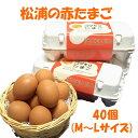 【ふるさと納税】養鶏場直送!松浦の赤たまご(40個)【B1-125】 卵 たまご 赤たまご 玉子 鶏卵 松浦 国産 たまごかけごはん 生卵 あか卵 ..