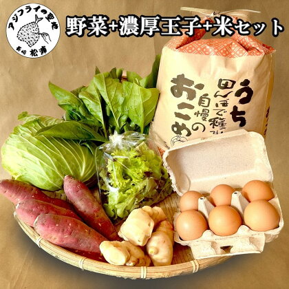 道の駅松浦海のふるさと館『旬のお野菜＋産みたて濃厚玉子6個＋お米5kg』の大満足セット！【B2-099】 産地直送 新鮮 白米 米 卵 たまご タマゴ 野菜 旬 詰め合わせ農家 季節 サラダ 新鮮 セット 送料無料 松浦 お米 九州 おまかせ 特産品 大容量 道の駅