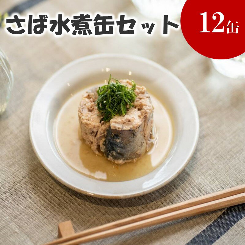 3位! 口コミ数「17件」評価「4.88」さば水煮缶セット(12缶)【B2-108】 ふるさと納税 サバ缶 ふるさと納税 缶詰 ふるさと納税 缶詰め ふるさと納税 鯖 ふるさと納税 ･･･ 