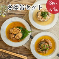 【ふるさと納税】さば缶セット(3種×各4缶)【B2-090】 サバ缶 さば缶 鯖缶 サバ さば 鯖 缶詰 水煮 味噌煮 醤油煮 長期保存 非常食 備蓄 保存食 セット海鮮 簡単調理 肴 おかず 非常食 栄養 12缶 九州 松浦