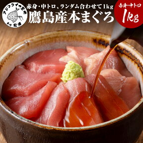 【ふるさと納税】【 ご家族でたっっぷり味わう 】 最高級 本マグロ ＜1kg / 10人前＞ まぐろ丼のたれ付き【E5-003】本マグロ マグロ 本まぐろ まぐろ 本鮪 鮪 刺身 お刺身 柵 海鮮