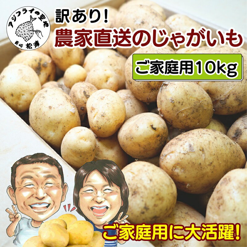 【ふるさと納税】訳あり！農家直送のじゃがいも　10kg【B0-154】 野菜 じゃがいも ジャガイモ 新鮮 春..