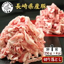 【ふるさと納税】長崎県産豚肉切り落とし1kg(250g×4パック)【B0-156】 国産 肉 こま切れ 豚肉 切り落とし 1キロ 送料無料