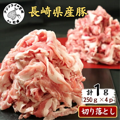 長崎県産豚肉切り落とし1kg(250g×4パック)【B0-156】 国産 肉 こま切れ 豚肉 切り落とし 1キロ 送料無料