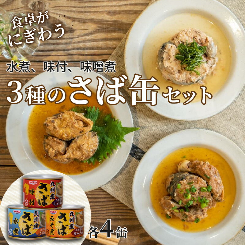 【ふるさと納税】《父の日》さば缶セット(3種×各4缶)【B2-107】 ふるさと納税 サバ缶 ふるさと納税 缶詰 鯖缶 サバ 鯖 水煮 味噌煮 醤油煮 長期保存 非常食 備蓄 保存食 セット 海鮮 簡単調理 肴 おかず 非常食 栄養 12缶 松浦 ギフト プレゼント 贈り物 父の日