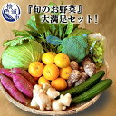 【ふるさと納税】道の駅松浦海のふるさと館『旬のお野菜』の大満足セット！【A6-010】 産地直送 新鮮 生野菜 野菜 やさい 旬 セット農家 季節 サラダ 新鮮 セット やさい 送料無料 夏 松浦 九州 詰め合わせ