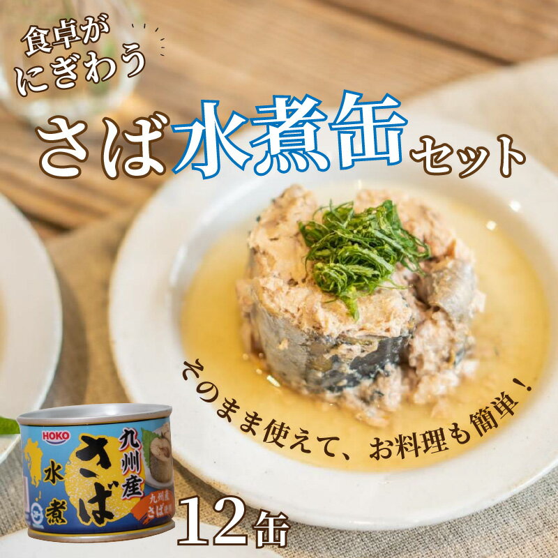 【ふるさと納税】さば水煮缶セット(12缶)【B2-108】 ふるさと納税 サバ缶 ふるさと納税 缶詰 ふるさと納税 缶詰め ふるさと納税 鯖 ふるさと納税 サバ ふるさと納税 さば さば缶 鯖缶 非常食 保存食 魚海鮮 簡単調理 肴 おかず 非常食 栄養 12缶 九州 松浦 保管 松浦市