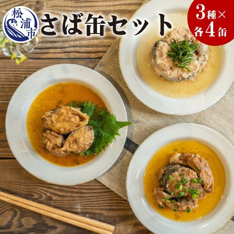 【ふるさと納税】さば缶セット(3種×各4缶)【B0-022】 サバ さば 鯖 サバ缶 缶詰 水煮 味噌煮 醤油煮 非常食 保存食 セット海鮮 簡単調理 肴 おかず 非常食 栄養 12缶 九州 松浦 保管 お中元