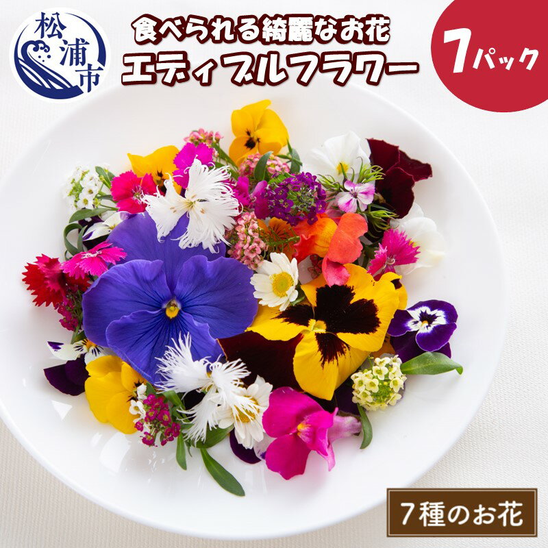 【ふるさと納税】食べられる綺麗なお花 エディブルフラワー【B1-129】 花 お花 フラワー エディブルフラワー 食用花 食用