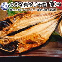 【ふるさと納税】大きな真あじ干物 10枚(約2000g)【B