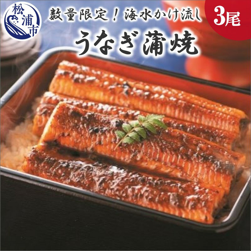 数量限定!海水かけ流しうなぎ蒲焼3尾[C5-013]うなぎ 国産 養殖 ウナギ 鰻 蒲焼 かば焼き 蒲焼き うなぎ蒲焼 産地直送 魚 魚介類 海産物 海の幸