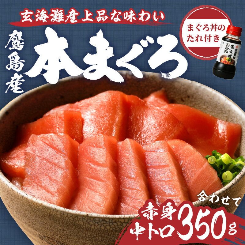 【ふるさと納税】【 道の駅 でも 大 人気 ！ 】 《父の日》鷹島産本まぐろ 中トロ赤身合わせて350g(まぐろ丼たれ付き)【B4-053】長崎 鷹島産 本マグロ 本まぐろ マグロ まぐろ 本鮪 鮪 赤身 中トロ 魚 柵取り 刺身 海鮮 ギフト プレゼント 贈り物 父の日