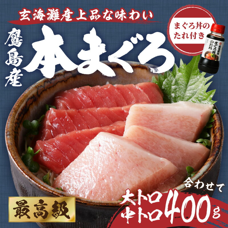 【ふるさと納税】鷹島産最高級本まぐろ 大中合わせて400g(まぐろ丼たれ付き)【C5-003】 マグロ 本マグロ 大トロ 中トロ 養殖 マグロ丼 丼 刺身 どんぶり ネギトロ お寿司 冷凍品 柵 敬老の日