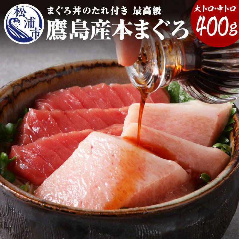 【ふるさと納税】鷹島産最高級本まぐろ 大中合わせて400g(まぐろ丼たれ付き)【C5-003】 マグロ 本マグ...