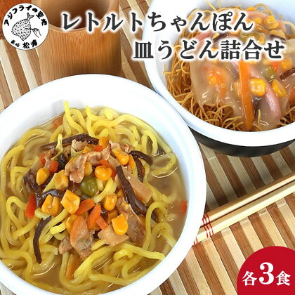 レトルトちゃんぽん3食・皿うどん3食詰合せ【B0-175】 レトルト ちゃんぽん チャンポン 簡単調理 長崎ちゃんぽん 皿うどん 詰め合わせ レンチン