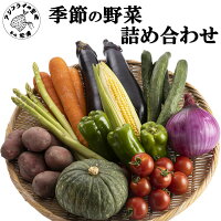 【ふるさと納税】季節の野菜詰め合わせ【A9-009】 野菜 季節の野菜 季節の果物 セット 産地直送 新鮮 トマト ニンジン ブロッコリー ジャガイモ 白菜 春野菜農家 季節 サラダ 新鮮 セット やさい 送料無料 夏 松浦市 九州 詰め合わせ おまかせ