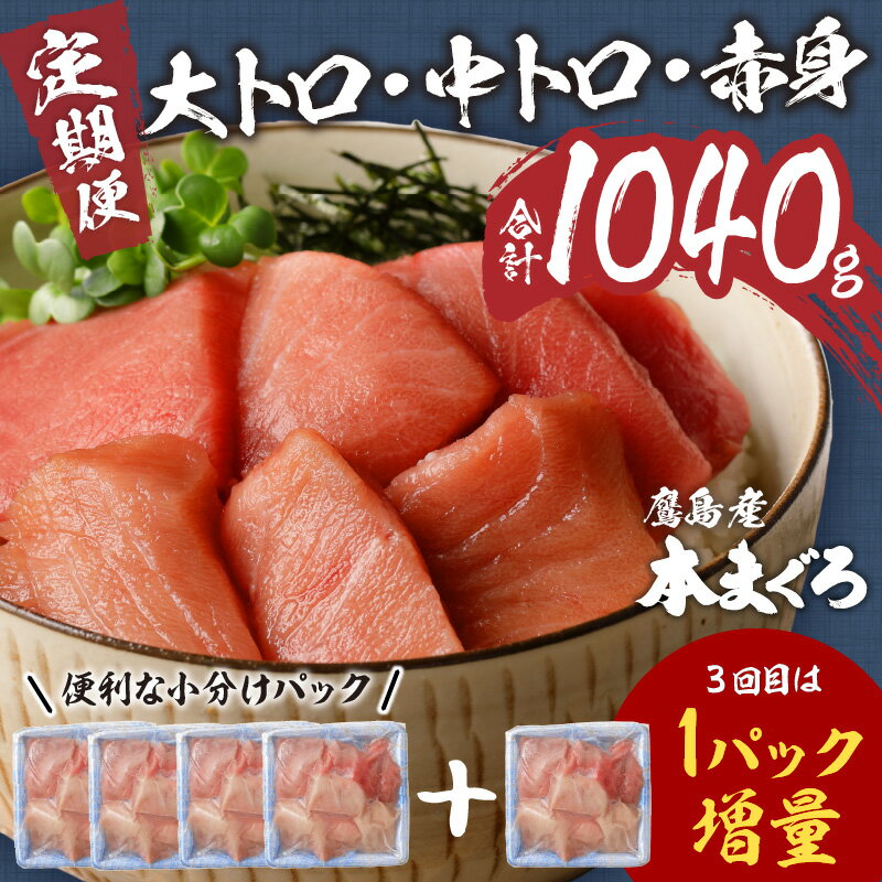 【ふるさと納税】鷹島産本まぐろ食べ切りサイズ80g×4パック(3回定期便）【楽天限定】【D6-001】 楽天限定 ふるさと納税 まぐろ マグロ 時短料理 本マグロ 本まぐろ 魚 小分け 人気 送料無料