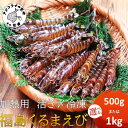 【ふるさと納税】加熱用 活き〆冷凍福島くるまえび 500g 1kg 1パック 2パック