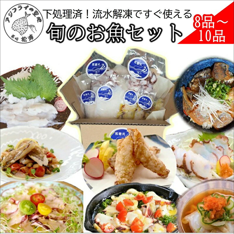 【ふるさと納税】飛龍丸漁師直伝　下処理不要！流水解凍ですぐ使える旬のお魚セット【B6-028】〈飛龍丸下処理不要 流水解凍 旬のお魚 セット 美味しい おすすめ こだわり 贈答用 個包装〉 お歳暮