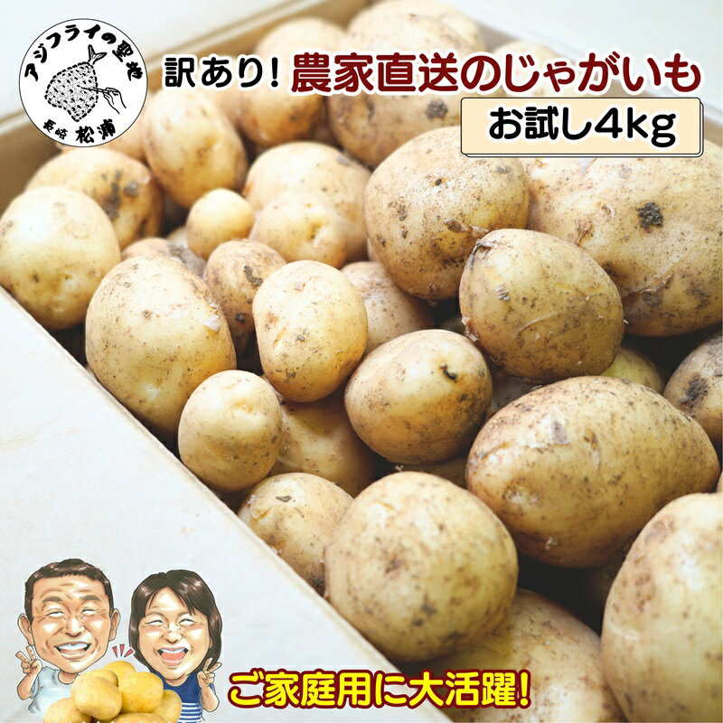 【ふるさと納税】訳あり！農家直送のじゃがいも　お試し4kg【A6-020】 訳あり じゃが じゃがいも いも ..