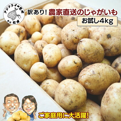 訳あり！農家直送のじゃがいも　お試し4kg【A6-020】 訳あり じゃが じゃがいも いも 肉じゃが サラダ フライドポテト 揚げ物 カレー シチュー 煮物 お試し 訳あり