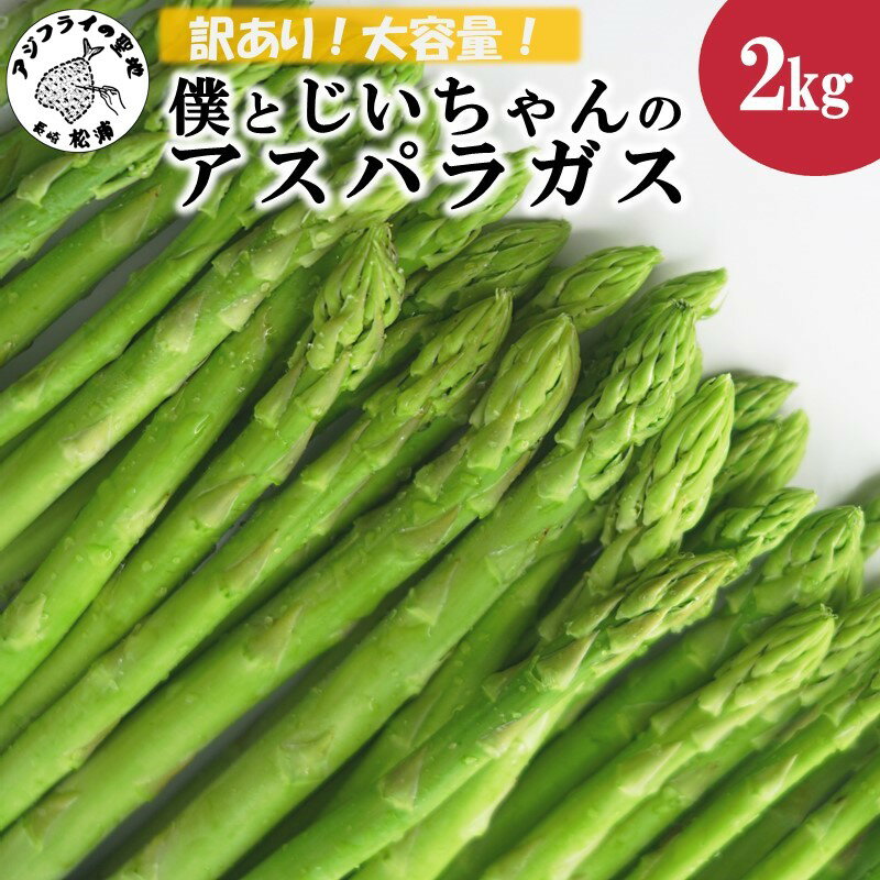 訳ありご家庭用に大活躍!僕とじいちゃんのアスパラガス2kg[B0-160]野菜 アスパラガス グリーンアスパラ 朝採れ 新鮮 訳あり 大容量 家庭用 九州 松浦市